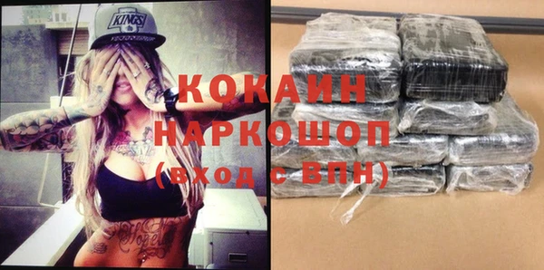 сатива Кулебаки