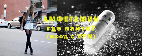 сатива Кулебаки