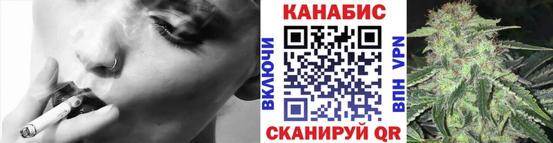 Купить  Курчатов  Канабис семена 